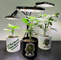 CheebaPet Desk Grow Lamp - 214 LEDs Full Spectrum Adjustable Height 10" - 26"