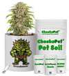 CheebaPet Planter Kit - BruceBanner