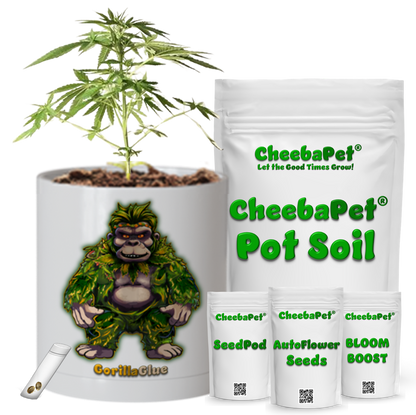 CheebaPet Planter Kit - GorillaGlue