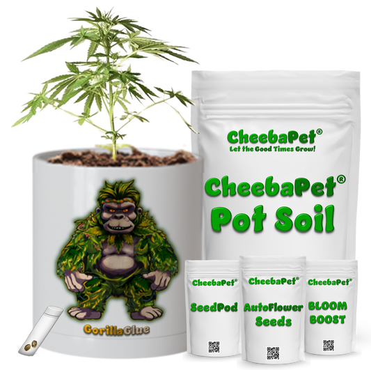 CheebaPet Planter Kit - GorillaGlue