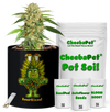 CheebaPet Planter Kit - SourDiesel
