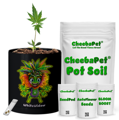 CheebaPet Planter Kit - WhiteWidow