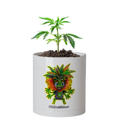CheebaPet Planter Kit - WhiteWidow